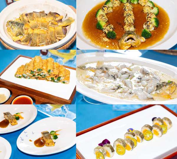 浙江海洋大学举办“黄鱼节”将科研成果“鲜”上餐桌