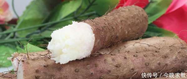 山药天天吃有副作用吗(山药顿顿吃，到底稳不稳当？｜肠胃弱的人要留神｜医生提醒的3个细节别大意)