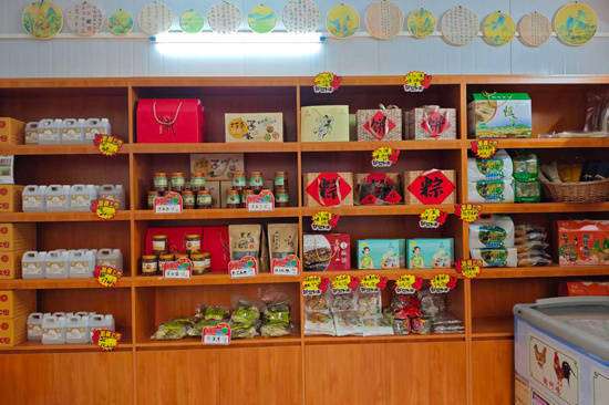 一只鸡带动一个村(横州市陶圩镇：“一只鸡”撬动大产业“一碗粉”香飘千万家)