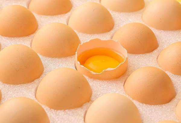 “无菌蛋”靠谱吗？专家：很难达到绝对无菌，营养与普通鸡蛋无异