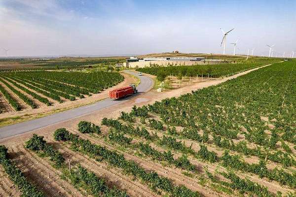 宁夏贺兰山东麓的葡萄酒(“贺兰山东麓葡萄酒，让世界从宁夏读懂中国”)