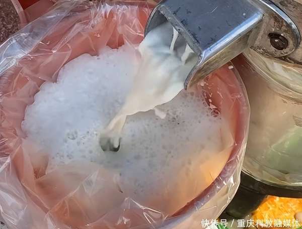 鸡蛋的死对头是谁(鸡蛋有3个“死对头”，注意：二者不可一起吃，吃鸡蛋要注意禁忌)