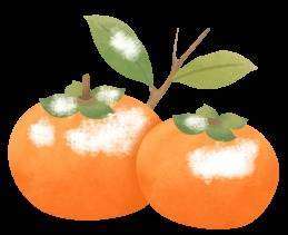 今年过年带女朋友回家过年(今年过年，带TA回家吃遍南漳味)