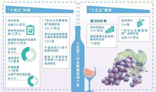 塞上江南白色盒(塞上江南递出“紫色名片”（三餐四季）)