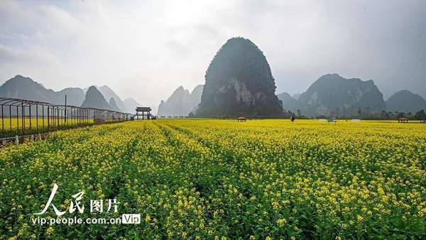 靖西人家舌尖上的非遗体验之旅