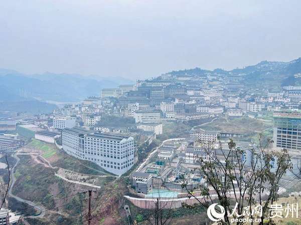 外国嘉宾点赞成都文创(外国嘉宾点赞贵州佳酿：“中国味道”越来越有国际市场)