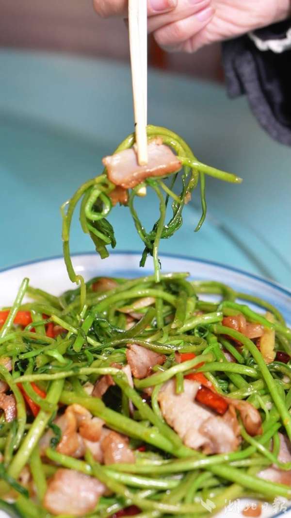 觅知音粤剧版(觅知音·品蔡甸｜脆嫩咸香，一盘春菜，解锁家常味天花板)