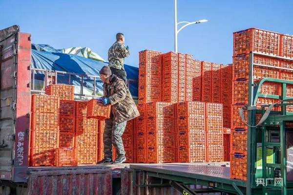 2026年的市场规模达到了多少(​2026大市场看中国年｜在“世界鲜货超市”里一站式配齐“年味”)