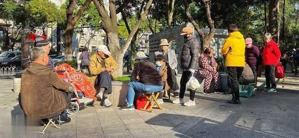 纯阳之果能补充阳气(这个纯阳之果，从现在吃到入冬，每天一小把，补脾又补肾)