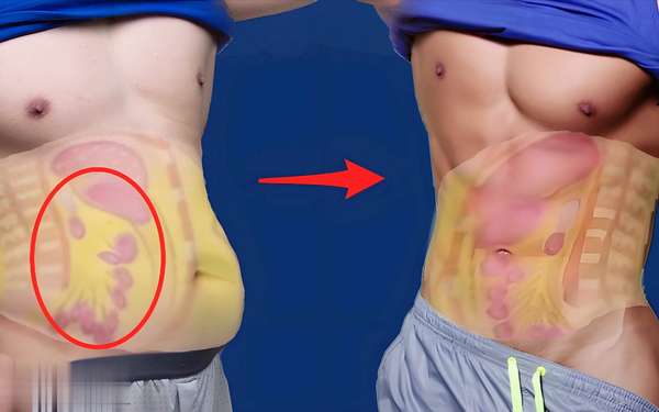 权威论文减肥(权威期刊发布减脂惊人发现：此法专攻内脏脂肪，速现川字线马甲线)