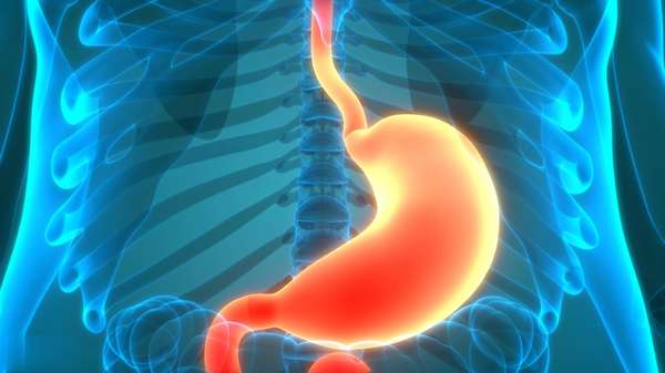 医生发现常吃南瓜(医生惊叹：常吃煮莲子，不久后或收获5大好处)