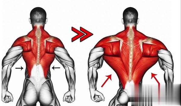 国家举重队练背法，上背下背无死角，难度堪称地狱级