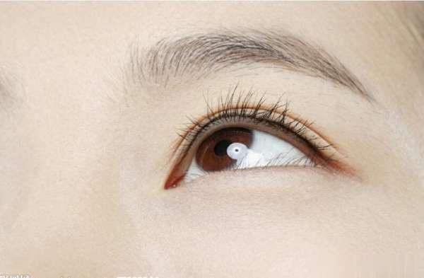 越吃眼睛越亮的3种菜，入冬多吃，全家爱吃营养高！