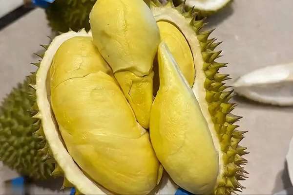 榴莲抗癌功效与作用(榴莲立大功？医生称对4种慢性病有益，建议多吃！)