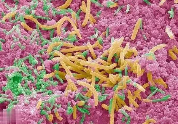 刷牙影响心脏健康的原因有哪些(刷牙方式影响心脏健康？医生警告：不知3点警惕心肌炎)