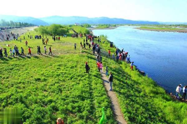 最适合老年人补钙的食物排名，牛奶未进前三，芝麻第二！