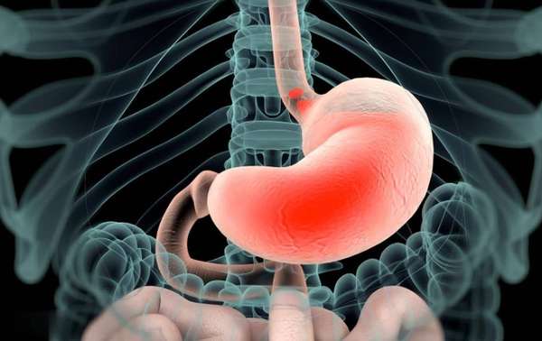 先补气血还是先调理脾胃好(狂补气血不如养好脾胃！1个中成药健脾养胃、气血双补)