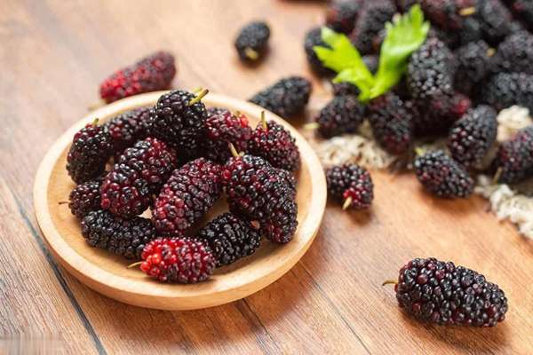 桑葚搭配什么补气血(别小看桑葚！搭配得当补气血、强脾胃，还能给肝“大扫除”)