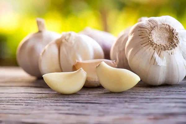 大蒜遭遇倒春寒危害如何挽救(大蒜再受关注！医生提醒：常生吃大蒜要留意这4点)
