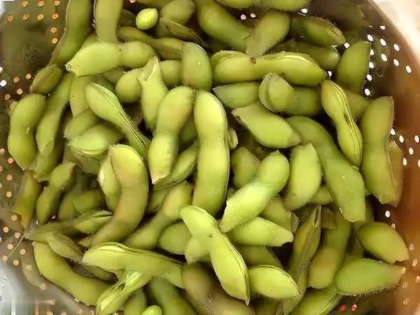 毛豆增强记忆力(毛豆立大功！常吃毛豆或有3大好处，早了解)