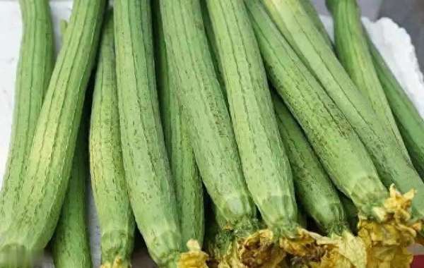 研究发现吃饭太快糖尿病风险高(研究发现：常吃丝瓜，糖尿病患者能获4大改善！)