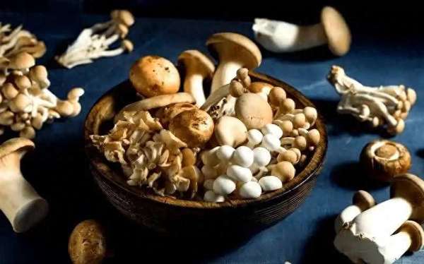 肺部养护新帮手——常见菌菇的神奇功效