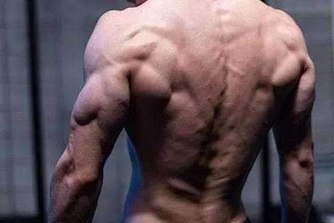 核心动作：一套高效组合拳