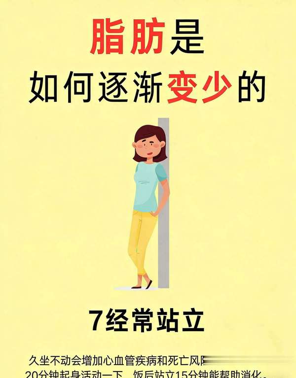 脂肪消减的过程(揭秘脂肪减少原理，轻松养成易瘦体质！)