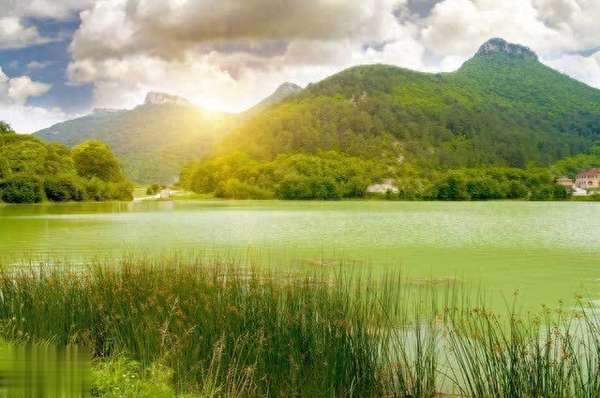 为什么很多老人活不到80岁？看完秒懂！