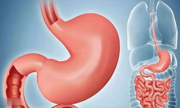 山药久服轻身延年(山药立大功！常吃山药，不久后或有5大改善，医生提醒)