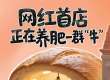 排队2小时买面包？网红首店，正在养肥一群“牛”
