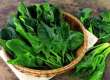 菠菜虽营养丰富，但食用时需留意草酸问题