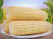 甜糯玉米对老年人健康的影响
