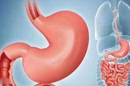 山药立大功！常吃山药，不久后或有5大改善，医生提醒